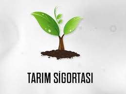 Kolay Blog Tarım Sigortası  